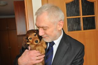 jamnik d�ugow�osy NAILA